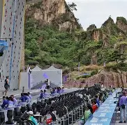 开云下载-南非选手青云直上，勇攀高峰夺得银牌战胜