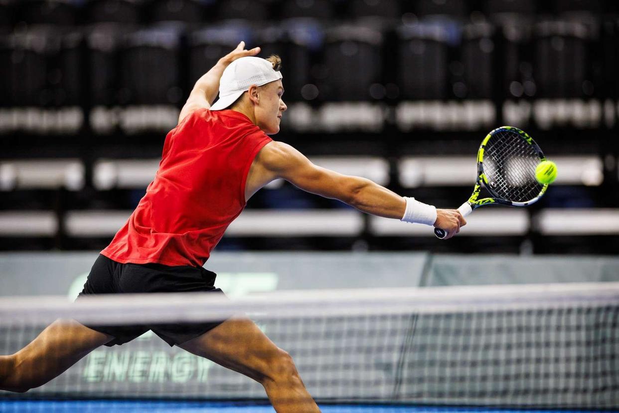 开云平台-蒙特卡洛大师赛翻盘戴维斯杯,鲁德扛起全队的简单介绍