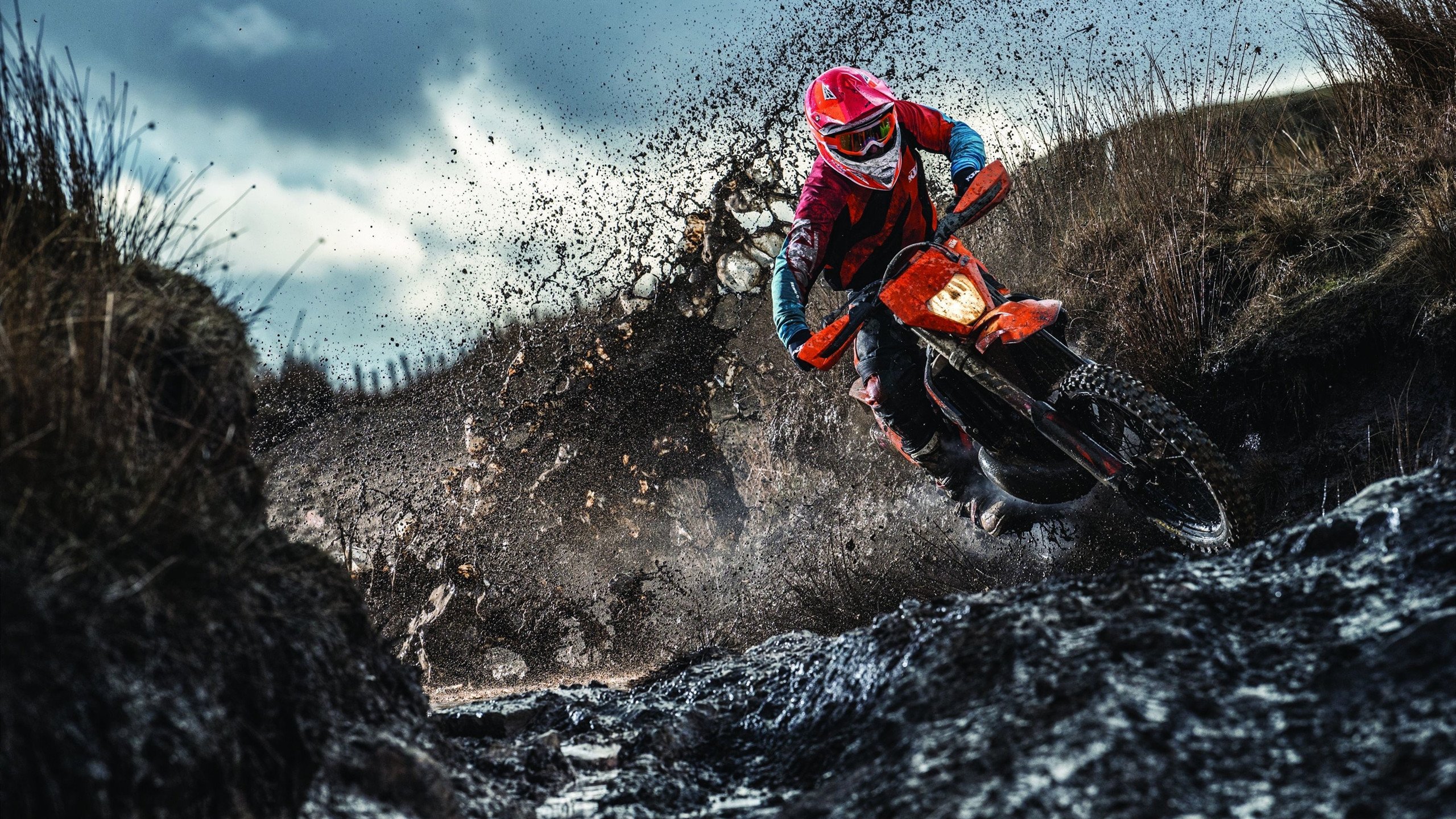 开云体育中国-天神下凡！杰伦格林生涯之夜轰塌标靶中心，公牛碾碎森林狼迎六连胜